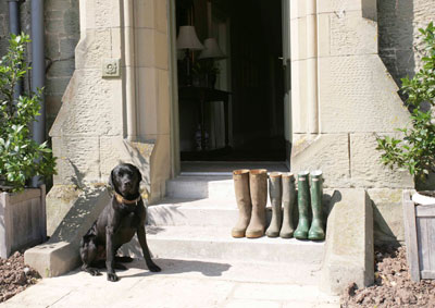 Rates & Availability